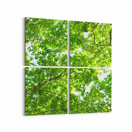 Olla 11045K4 Ağaç Görseli Kare 4'lü Kanvas Tablo (Ölçü: 145X145)