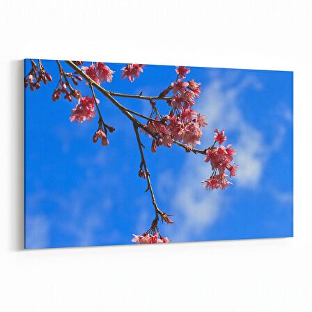 Olla 10539Y Ağaç Görseli Yatay Kanvas Tablo (Ölçü: 45X30)