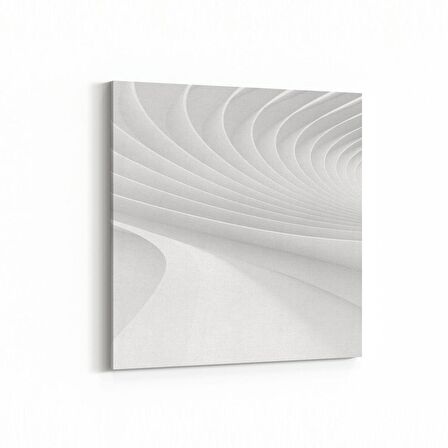 Olla 10449K Beyaz Kabartma Görseli Kare Kanvas Tablo (Ölçü: 25X25)