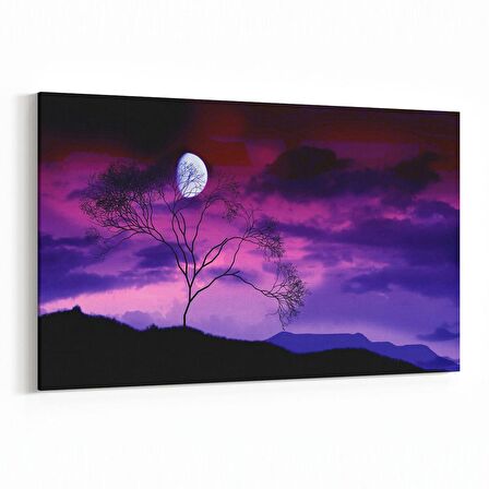 Olla 15959Y Günbatımı Görseli Yatay Kanvas Tablo (Ölçü: 150X100)