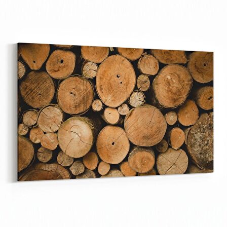 Olla 11987Y Ahşap Desen Görseli Yatay Kanvas Tablo (Ölçü: 45X30)