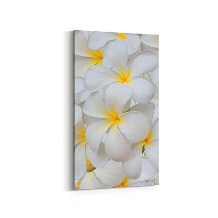 Olla 11633DD Çiçek Görseli Dikey Dar Kanvas Tablo (Ölçü: 30X60)