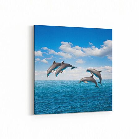 Olla 12912K Deniz / Okyanus Görseli Kare Kanvas Tablo (Ölçü: 25X25)