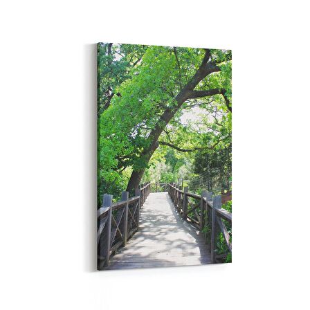 Olla 13500D Doğa / Manzara Görseli Dikey Kanvas Tablo (Ölçü: 20X30)