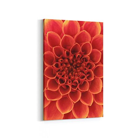 Olla 11647D Çiçek Görseli Dikey Kanvas Tablo (Ölçü: 60X90)