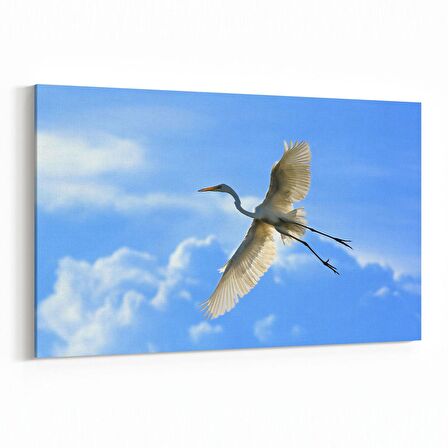 Olla 15841Y Gökyüzü Kuşlar Görseli Yatay Kanvas Tablo (Ölçü: 70X50)