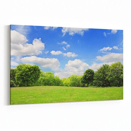 Olla 14590Y Doğa / Manzara Görseli Yatay Kanvas Tablo (Ölçü: 30X20)