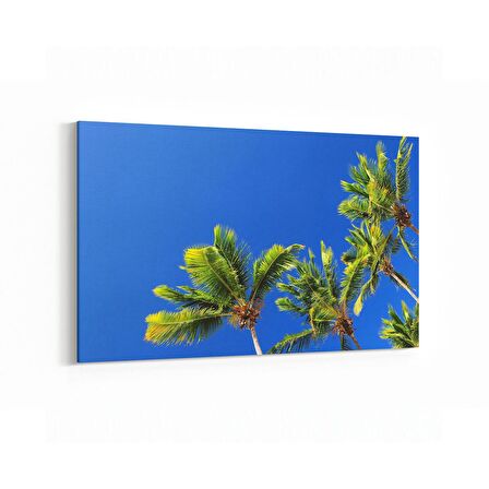 Olla 11493Y Palmiye Ağacı Görseli Yatay Kanvas Tablo (Ölçü: 45X30)