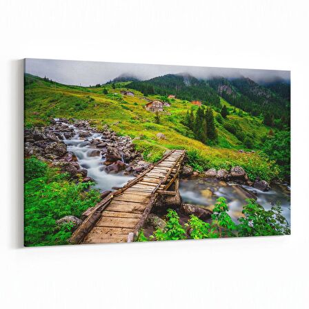Olla 13449Y Doğa / Manzara Görseli Yatay Kanvas Tablo (Ölçü: 90X60)