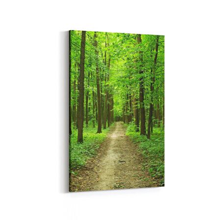 Olla 13645D Doğa / Manzara Görseli Dikey Kanvas Tablo (Ölçü: 60X90)