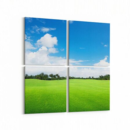 Olla 14143K4 Doğa / Manzara Görseli Kare 4'lü Kanvas Tablo (Ölçü: 105X105)