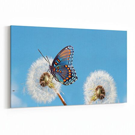 Olla 12670Y Hayvanlar Alemi Görseli Yatay Kanvas Tablo (Ölçü: 30X20)