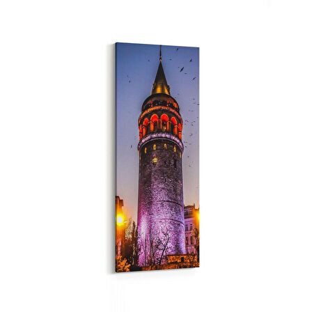 Olla 18722DI Yapı Görseli Dikey İnce Kanvas Tablo (Ölçü: 40X120)