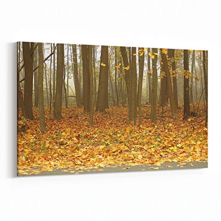 Olla 14449Y Doğa / Manzara Görseli Yatay Kanvas Tablo (Ölçü: 90X60)