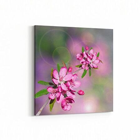 Olla 10607K Ağaç Görseli Kare Kanvas Tablo (Ölçü: 25X25)