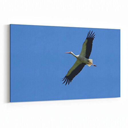 Olla 15863Y Gökyüzü Kuşlar Görseli Yatay Kanvas Tablo (Ölçü: 120X80)
