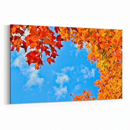 Olla 10714Y Ağaç Görseli Yatay Kanvas Tablo (Ölçü: 30X20)