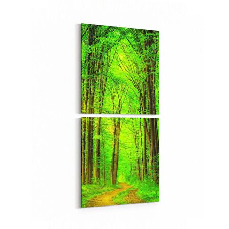 Olla 14469K2D Doğa / Manzara Görseli Kare 2'li Dikey Kanvas Tablo (Ölçü: 30X65)