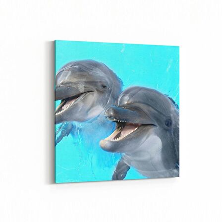 Olla 12918K Deniz / Okyanus Görseli Kare Kanvas Tablo (Ölçü: 25X25)