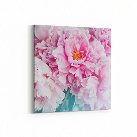 Olla 11612K Çiçek Görseli Kare Kanvas Tablo (Ölçü: 25X25)