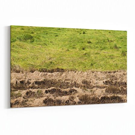 Olla 14179Y Doğa / Manzara Görseli Yatay Kanvas Tablo (Ölçü: 90X60)