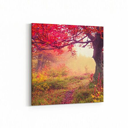 Olla 13708K Doğa / Manzara Görseli Kare Kanvas Tablo (Ölçü: 25X25)