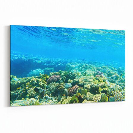 Olla 12935Y Deniz / Okyanus Görseli Yatay Kanvas Tablo (Ölçü: 30X20)