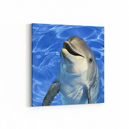 Olla 12929K Deniz / Okyanus Görseli Kare Kanvas Tablo (Ölçü: 30X30)