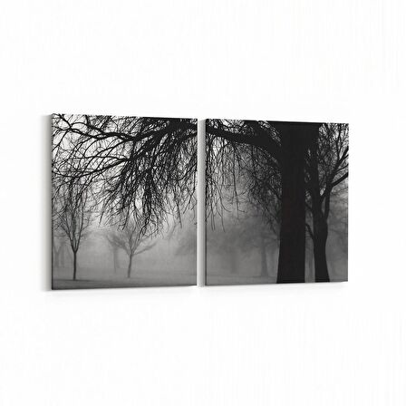 Olla 13652K2Y Doğa / Manzara Görseli Kare 2'li Yatay Kanvas Tablo (Ölçü: 65X30)