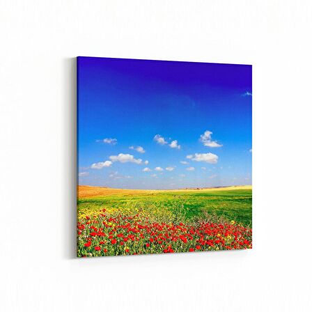 Olla 13930K Doğa / Manzara Görseli Kare Kanvas Tablo (Ölçü: 25X25)
