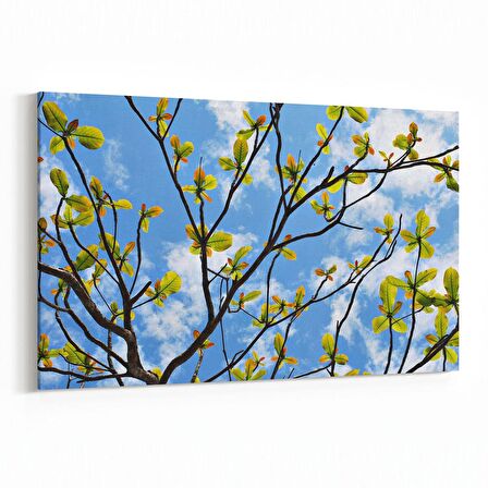 Olla 10753Y Ağaç Görseli Yatay Kanvas Tablo (Ölçü: 30X20)