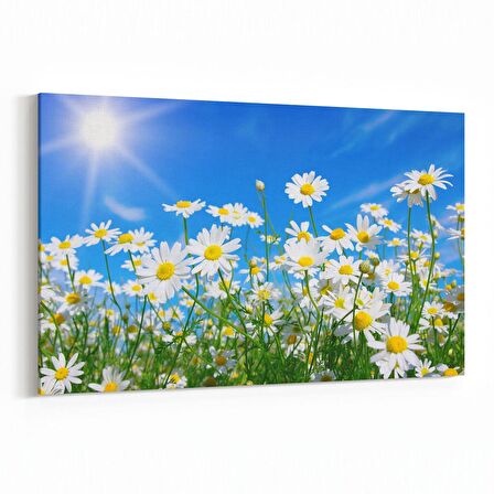 Olla 14323Y Doğa / Manzara Görseli Yatay Kanvas Tablo (Ölçü: 45X30)