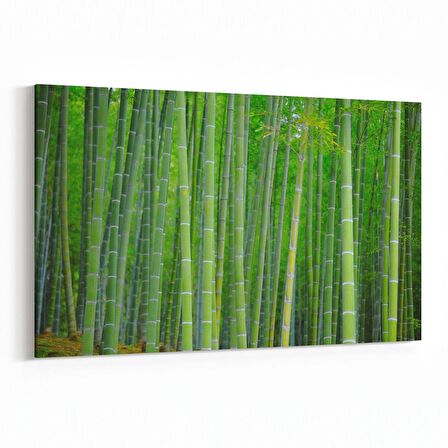 Olla 13658Y Doğa / Manzara Görseli Yatay Kanvas Tablo (Ölçü: 150X100)