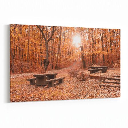 Olla 14308Y Doğa / Manzara Görseli Yatay Kanvas Tablo (Ölçü: 30X20)