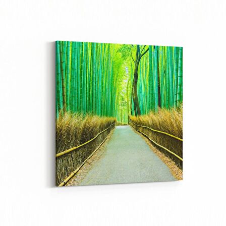 Olla 14071K Doğa / Manzara Görseli Kare Kanvas Tablo (Ölçü: 25X25)