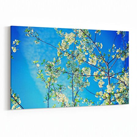 Olla 10858Y Ağaç Görseli Yatay Kanvas Tablo (Ölçü: 70X50)