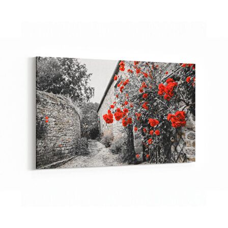 Olla 18308Y Yapı Görseli Yatay Kanvas Tablo (Ölçü: 70X50)