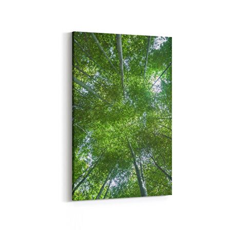 Olla 10518D Ağaç Görseli Dikey Kanvas Tablo (Ölçü: 100X150)