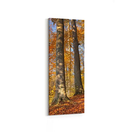 Olla 13255DI Doğa / Manzara Görseli Dikey İnce Kanvas Tablo (Ölçü: 40X120)
