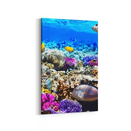 Olla 12072D Akvaryum / Balık Görseli Dikey Kanvas Tablo (Ölçü: 20X30)