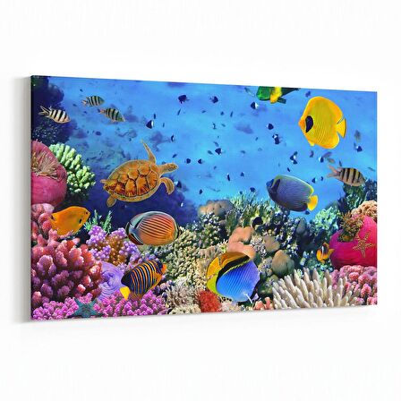 Olla 12061Y Akvaryum / Balık Görseli Yatay Kanvas Tablo (Ölçü: 150X100)