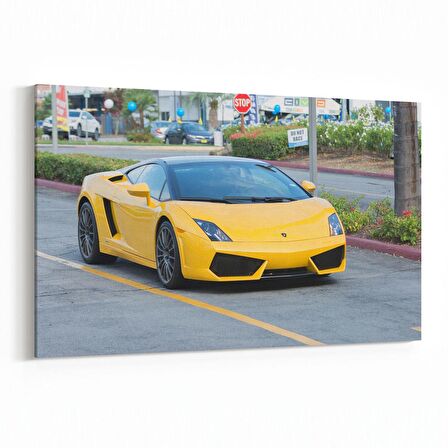 Olla 12295Y Araç Görseli Yatay Kanvas Tablo (Ölçü: 45X30)