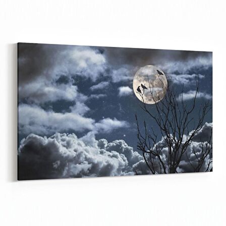 Olla 14828Y Gece Gökyüzü Görseli Yatay Kanvas Tablo (Ölçü: 30X20)