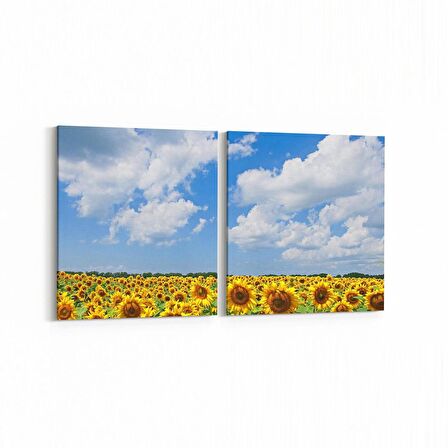 Olla 13715K2Y Doğa / Manzara Görseli Kare 2'li Yatay Kanvas Tablo (Ölçü: 125X60)