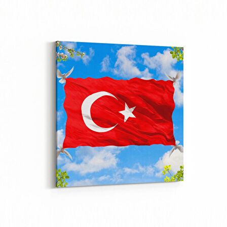 Olla 10613K Türk Bayrağı Görseli Kare Kanvas Tablo (Ölçü: 25X25)