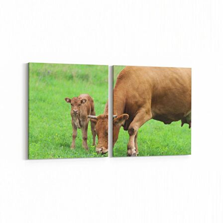 Olla 12667K2Y Hayvanlar Alemi Görseli Kare 2'li Yatay Kanvas Tablo (Ölçü: 125X60)
