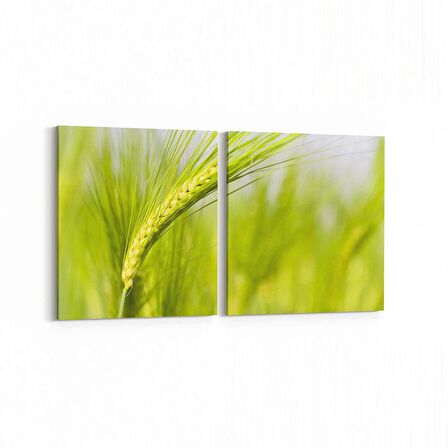 Olla 14329K2Y Doğa / Manzara Görseli Kare 2'li Yatay Kanvas Tablo (Ölçü: 145X70)