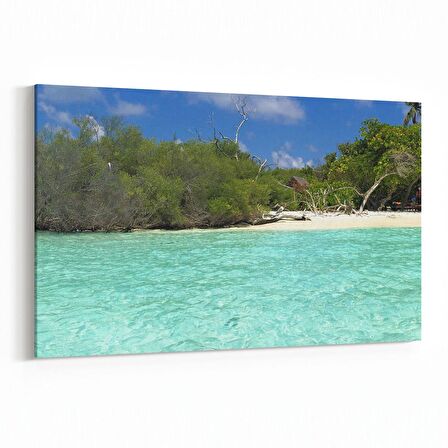 Olla 14356Y Doğa / Manzara Görseli Yatay Kanvas Tablo (Ölçü: 150X100)