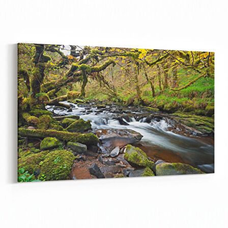 Olla 13170Y Doğa / Manzara Görseli Yatay Kanvas Tablo (Ölçü: 120X80)