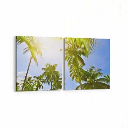Olla 11524K2Y Palmiye Ağacı Görseli Kare 2'li Yatay Kanvas Tablo (Ölçü: 145X70)